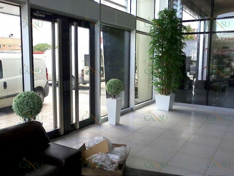 Bambu, Yapay Bambu, Doğal Bambu, Bambu Dekorasyon, Lake Bambu, Bambu Seperatör, Bambu Ağacı, Bambu Dalları