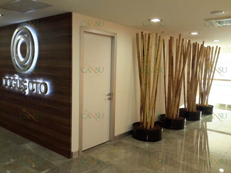 Bambu, Yapay Bambu, Doğal Bambu, Bambu Dekorasyon, Lake Bambu, Bambu Seperatör, Bambu Ağacı, Bambu Dalları