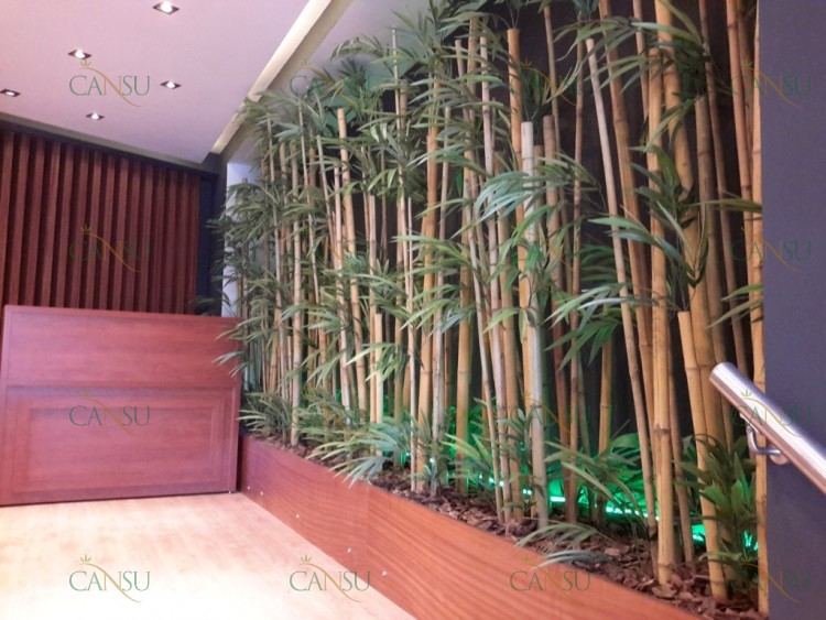 Bambu, Yapay Bambu, Doğal Bambu, Bambu Dekorasyon, Lake Bambu, Bambu Seperatör, Bambu Ağacı, Bambu Dalları