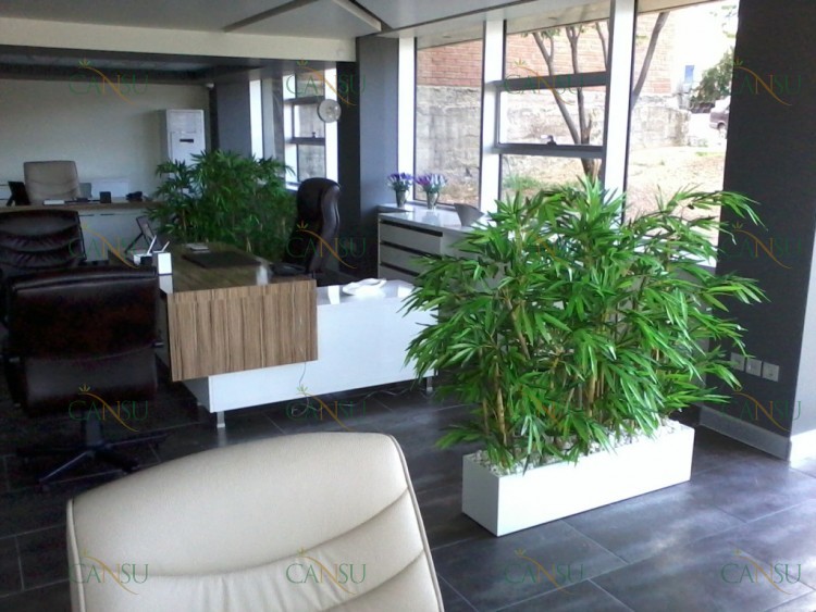 Bambu, Yapay Bambu, Doğal Bambu, Bambu Dekorasyon, Lake Bambu, Bambu Seperatör, Bambu Ağacı, Bambu Dalları