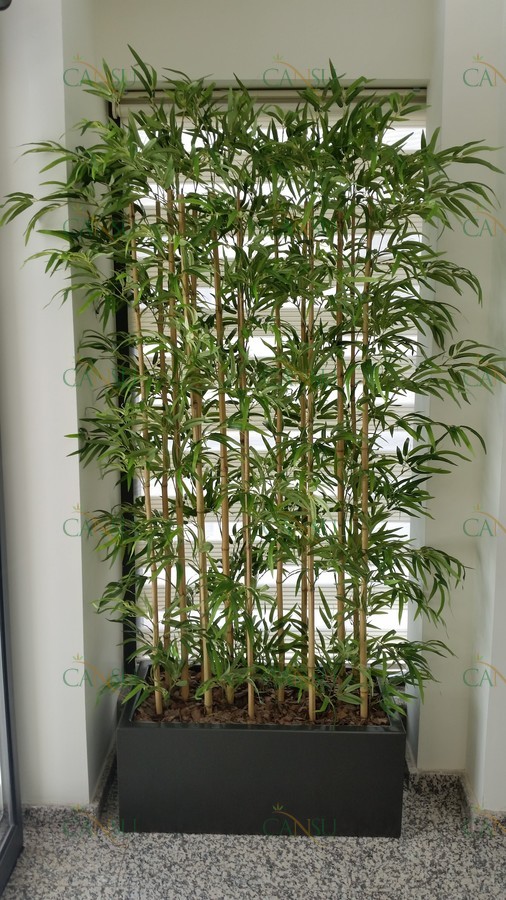 Bambu, Yapay Bambu, Doğal Bambu, Bambu Dekorasyon, Lake Bambu, Bambu Seperatör, Bambu Ağacı, Bambu Dalları